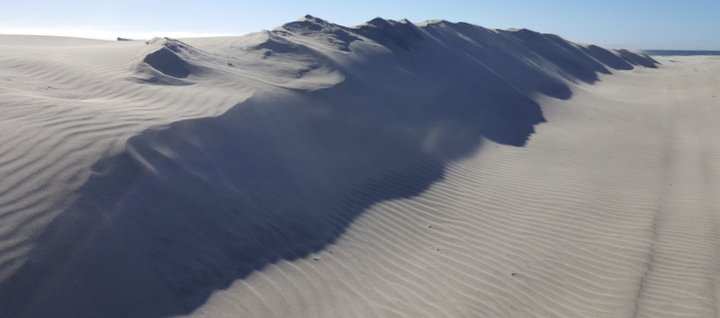 Farewell spit dunes